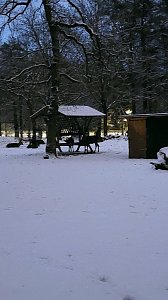 Sonntagmorgen im Stadtpark