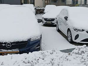 Spaziergang im Schnee