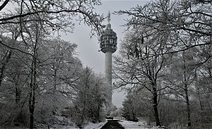 Winter im Kyffh&auml;userwald
