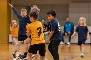 Handballergebnisdient der Herren