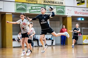 Handballergebnisdient der Damen