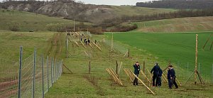 Blick &uuml;ber die Korridorpflanzung bei Badra  