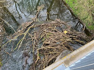 Arbeitseinsatz in Westgreu&szlig;en