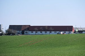 Osterspaziergang im Vorharz