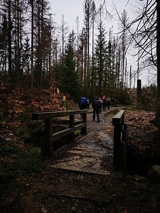 Jour Fixe im Nationalpark mit Sara Wegrzyk