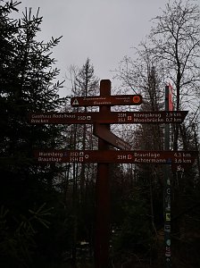 Jour Fixe im Nationalpark mit Sara Wegrzyk