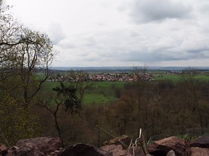 Fr&uuml;hlingsspuren auf dem Weg zur Ebersburg