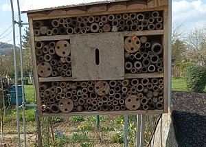 Insekten sind schon wieder an der Arbeit