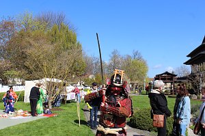 Impressionen vom Hanami 2023 in Bad Langensalza