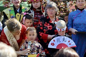 Impressionen vom Hanami 2023 in Bad Langensalza