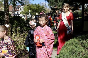 Impressionen vom Hanami 2023 in Bad Langensalza