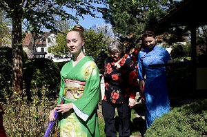 Impressionen vom Hanami 2023 in Bad Langensalza