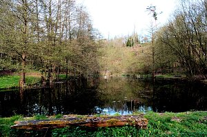 Peter Blei unterwegs in der Natur