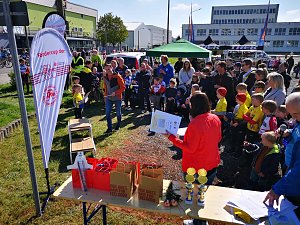 200 Teilnehmer beim Kurt-Lindner Rennen in Sondershausen