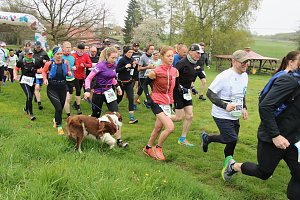 Impressionen vom 9. Harztorlauf