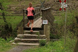 Impressionen vom 9. Harztorlauf