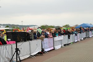 Impressionen vom 9. Harztorlauf