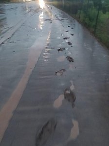 Starkregen setzt Stockhausen unter Wasser