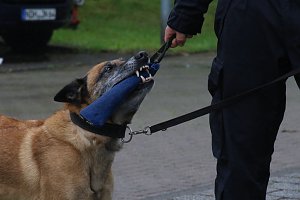Besuch bei der Nordh&auml;user Hundestaffel