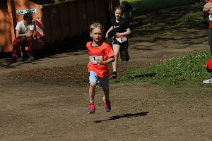 6. Heinrich-Siesmayer Ged&auml;chtnislauf im Park Hohenrode