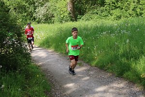 6. Heinrich-Siesmayer Ged&auml;chtnislauf im Park Hohenrode