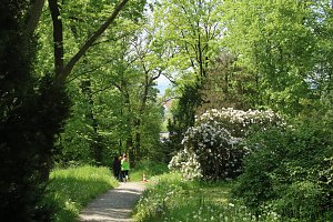 6. Heinrich-Siesmayer Ged&auml;chtnislauf im Park Hohenrode
