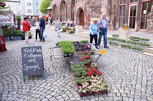 Geranienmarkt auf dem Rathausplatz