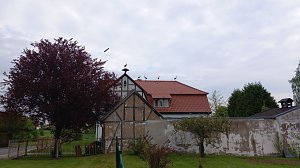 Beobachtung einer Seltenheit