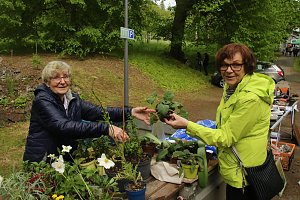 Parkfest im Park Hohenrode