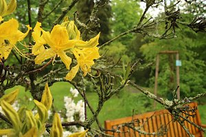 Parkfest im Park Hohenrode