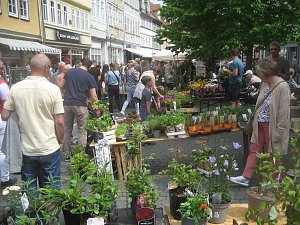 Gr&uuml;nes Innenstadtfest in Bad Langensalza