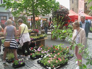 Gr&uuml;nes Innenstadtfest in Bad Langensalza