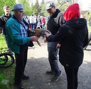 H&auml;hnekr&auml;hen in Etzleben