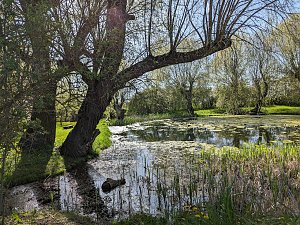 Schernberg ein besonderer Ort