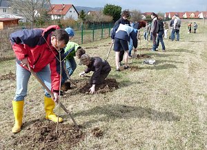 Baumpflanzung Bad Frankenhausen