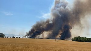 Einsatzrekorde f&uuml;r die Feuerwehr Wasserthaleben