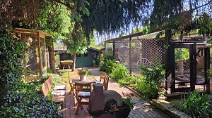 Offener Garten in Uthleben