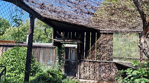 Offener Garten in Uthleben