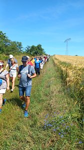 Daltus � Reisen war am H&uuml;nstein