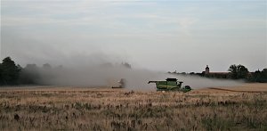 Erntezeit 