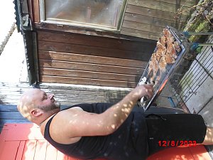 Wasserh&auml;uschenfest gefeiert