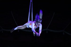 Circus KARL BUCH kommt nach Bad Langensalza