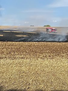 Auto setzt Stoppelfeld bei Seega in Brand 