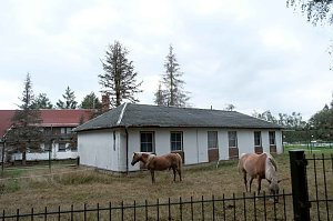 Unterwegs zum Hufhaus