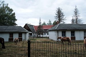 Unterwegs zum Hufhaus