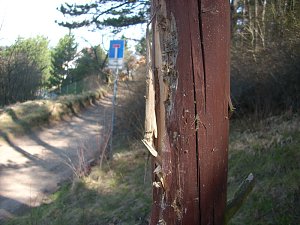 Wegweiser Totenbergwiese