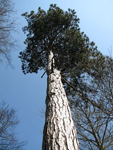 Unterwegs in "Hohenrode"