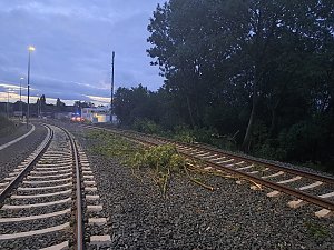 Bahn kollidiert mit &Auml;sten