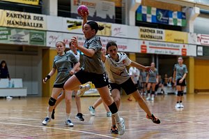 Ein fast perfektes Handballwochenende
