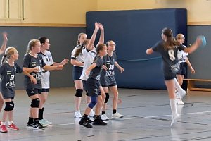 Ein fast perfektes Handballwochenende